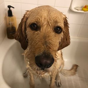 Meet your Posher, Mary ann